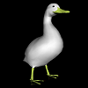 3D VRML cannard volaille