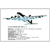 guerre-mondiale avion