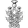 entrelacs celtiques