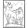 cheval poney