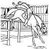 cheval poney