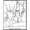 cheval poney