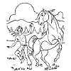 cheval poney