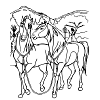cheval poney