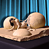 sculpture oeuf naissance venus plage