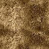 texture fourrure ours
